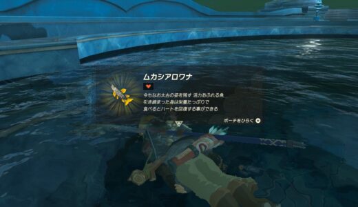 【ティアキン】ムカシアロワナがいる場所【ゼルダの伝説ティアーズオブザキングダム】
