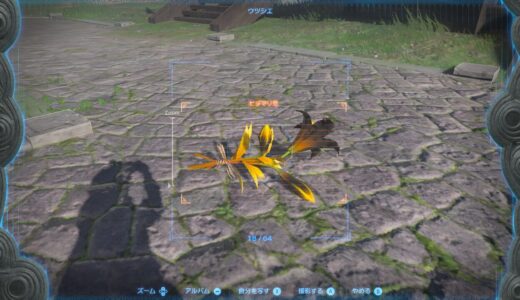 【ティアキン】ヒダマリ草の探し方【ゼルダの伝説ティアーズオブザキングダム】