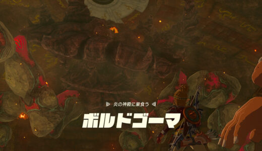 【ティアキン】ボルドゴーマの倒し方：攻略【ゼルダの伝説ティアーズオブザキングダム】
