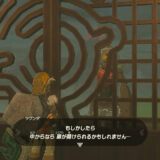ゼルダTotk