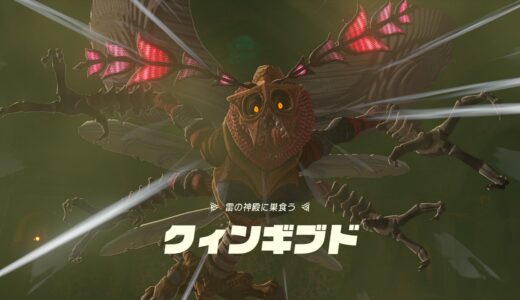 【ティアキン】クィンギブドの倒し方：攻略【ゼルダの伝説ティアーズオブザキングダム】