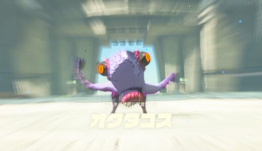 【ティアキン】オクタコスの倒し方：攻略【ゼルダの伝説ティアーズオブザキングダム】