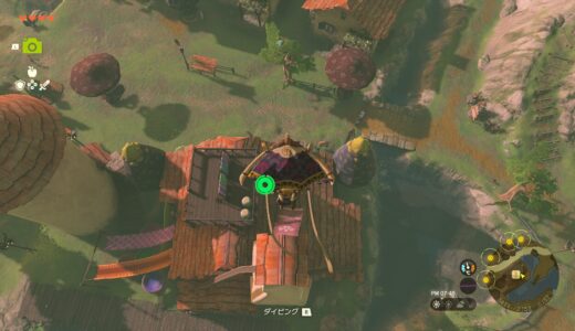 【ティアキン】パラセールの生地を変更する方法【ゼルダの伝説ティアーズオブザキングダム】