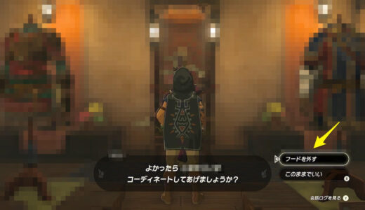 【ティアキン】ハイリアのフードのフードを外す方法【ゼルダの伝説ティアーズオブザキングダム】