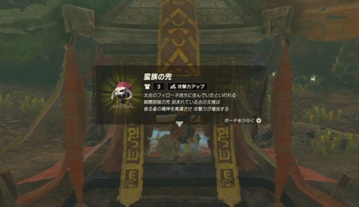 【ティアキン】最強防具「蛮族装備」入手方法まとめ【ゼルダの伝説ティアーズオブザキングダム】