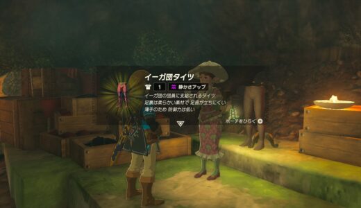 【ティアキン】イーガ団タイツの入手方法・場所【ゼルダの伝説ティアーズオブザキングダム】