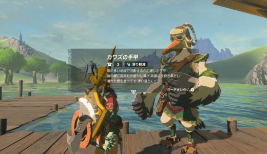 【ティアキン】雨が降っても滑らないで壁を登れるカワズ防具の入手方法【ゼルダの伝説ティアーズオブザキングダム】