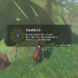 ゼルダTotk