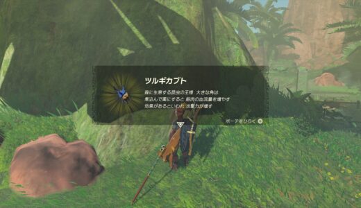 【ティアキン】ツルギカブトがいる場所・入手方法【ゼルダの伝説ティアーズオブザキングダム】