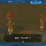 ゼルダの伝説ティアーズオブザキングダム