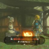 ゼルダの伝説ティアーズオブザキングダム