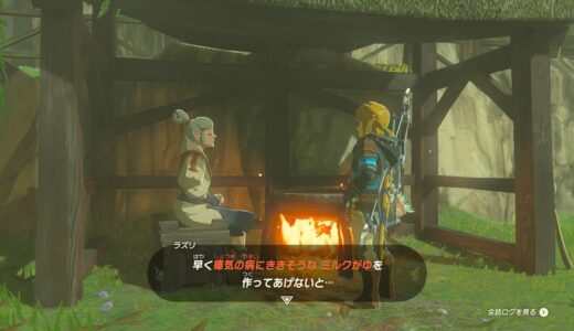 【ティアキン】瘴気の病にききそうなミルクがゆの作り方【ゼルダの伝説ティアーズオブザキングダム】
