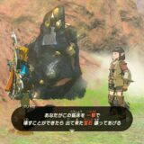 ゼルダの伝説ティアーズオブザキングダム