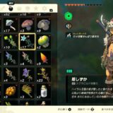 ゼルダの伝説ティアーズオブザキングダム