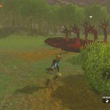 ゼルダの伝説ティアーズオブザキングダム