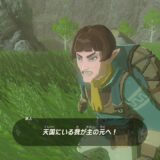ゼルダの伝説ティアーズオブザキングダム
