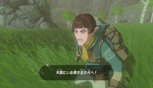 【ティアキン】旅人に変装してるイーガ団にイーガ団の服を着た状態で話しかけたらどうなるのか【ゼルダの伝説ティアーズオブザキングダム】