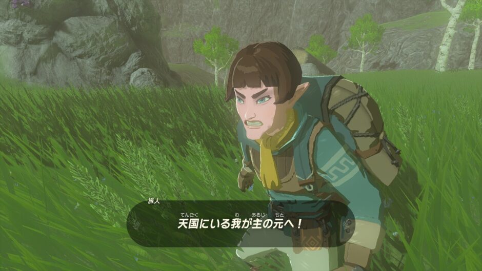 ゼルダの伝説ティアーズオブザキングダム