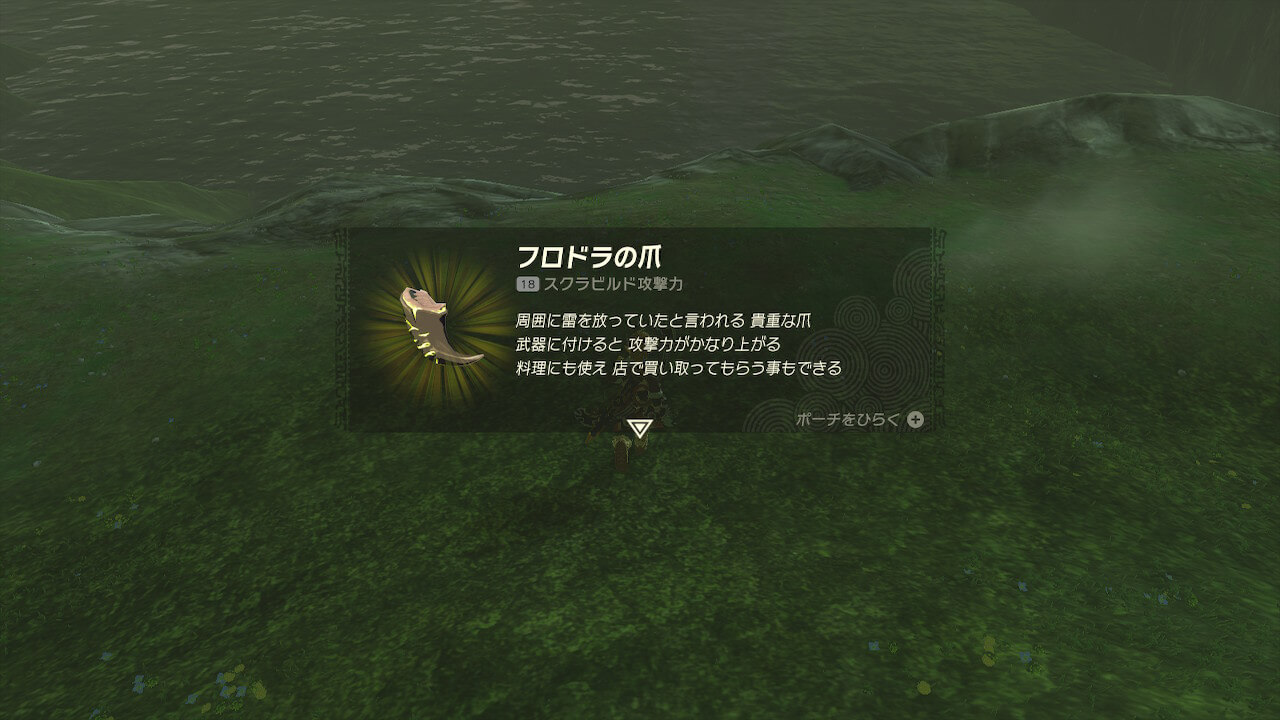 ゼルダの伝説ティアーズオブザキングダム