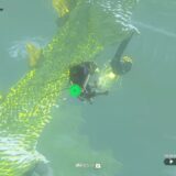 ゼルダの伝説ティアーズオブザキングダム