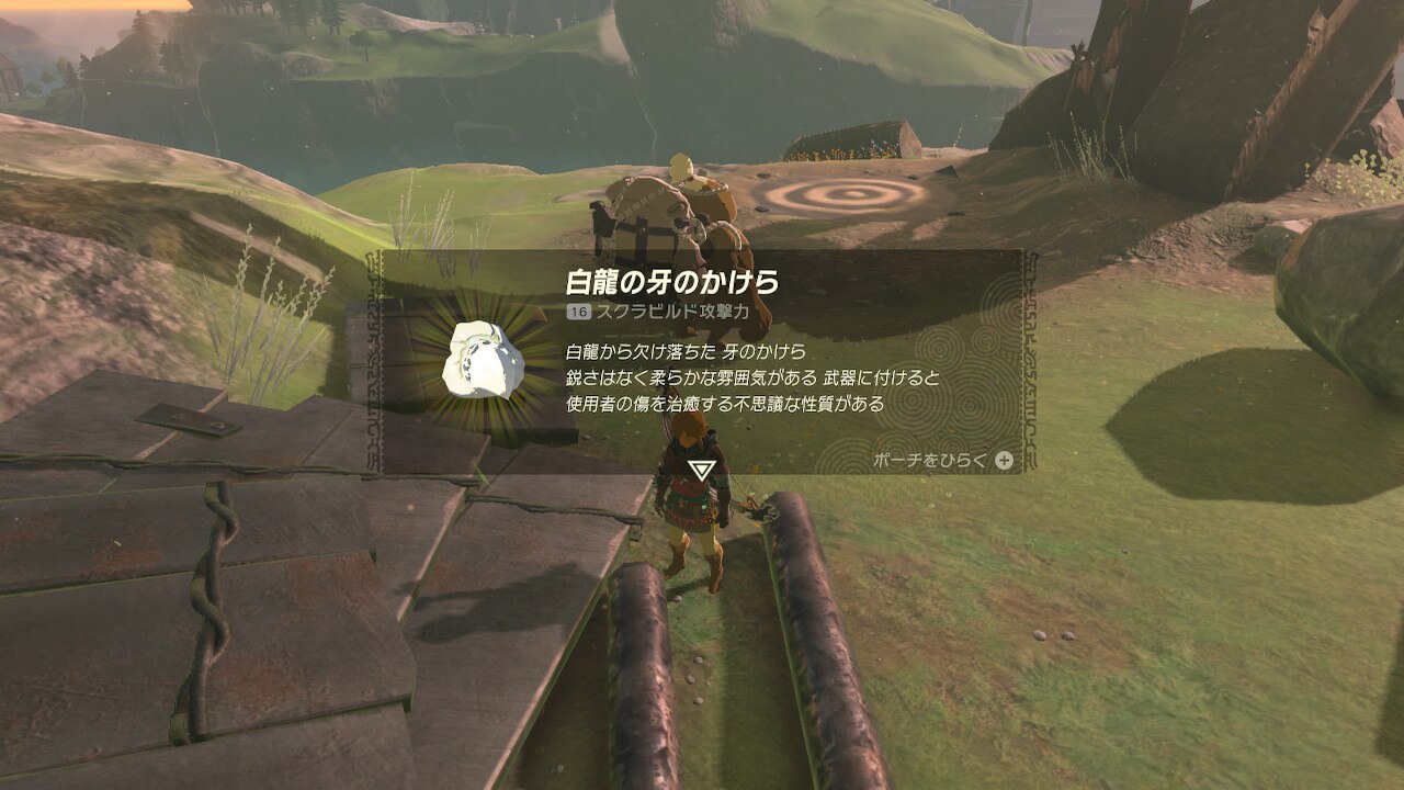 ゼルダの伝説ティアーズオブザキングダム