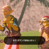 ゼルダの伝説ティアーズオブザキングダム
