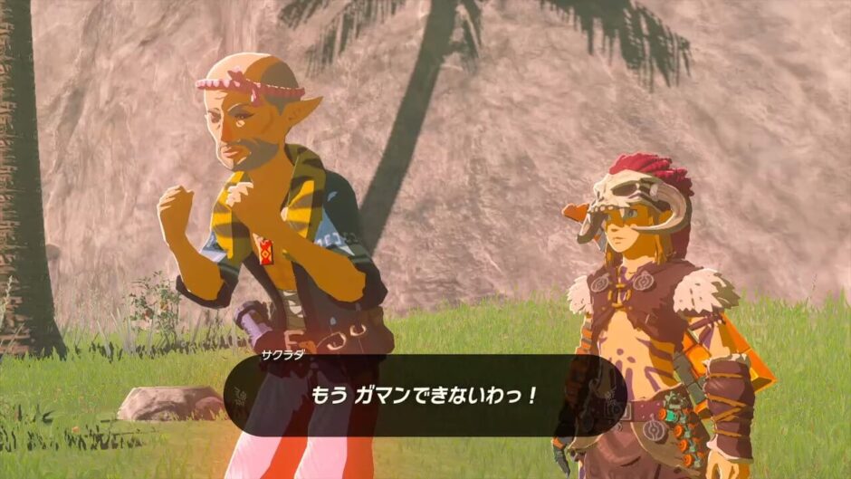 ゼルダの伝説ティアーズオブザキングダム