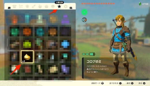 【ティアキン】所持しているコログのミの数を確認する方法【ゼルダの伝説ティアーズオブザキングダム】