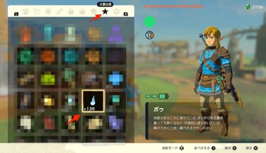 【ティアキン】所持しているポゥの数を確認する方法【ゼルダの伝説ティアーズオブザキングダム】