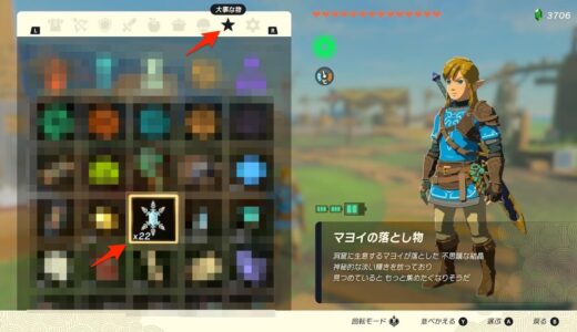 【ティアキン】所持しているマヨイの落とし物の数を確認する方法【ゼルダの伝説ティアーズオブザキングダム】