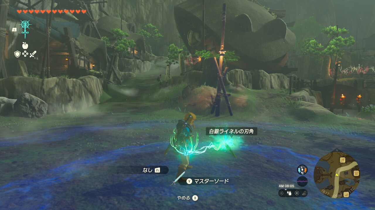 ゼルダの伝説ティアーズオブザキングダム