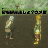 【ティアキン】畑の場所と開放条件【ゼルダの伝説ティアーズオブザキングダム】