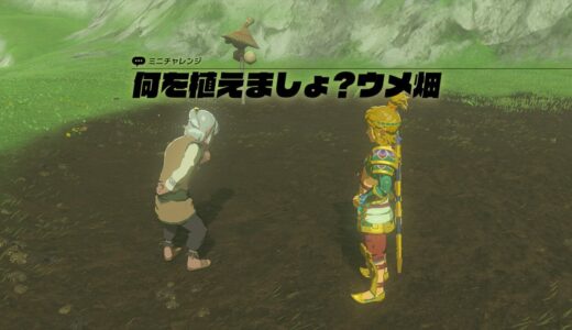 【ティアキン】畑の場所と開放条件【ゼルダの伝説ティアーズオブザキングダム】